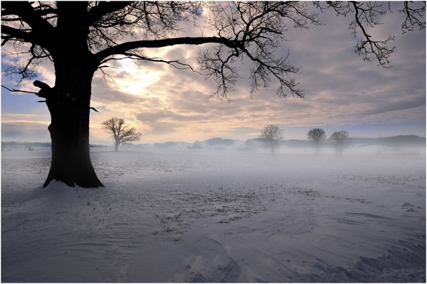 113806546-602c3dfd-b944-4e41-b2c5-1fb0cdab4118