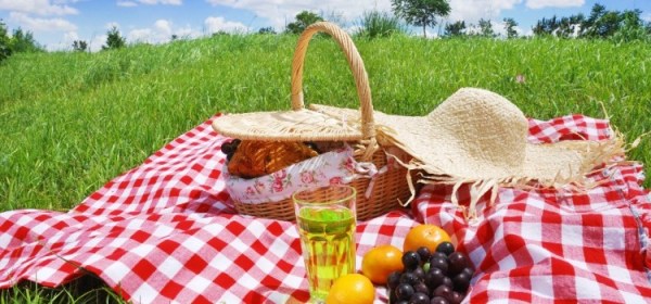 picnic-750x350