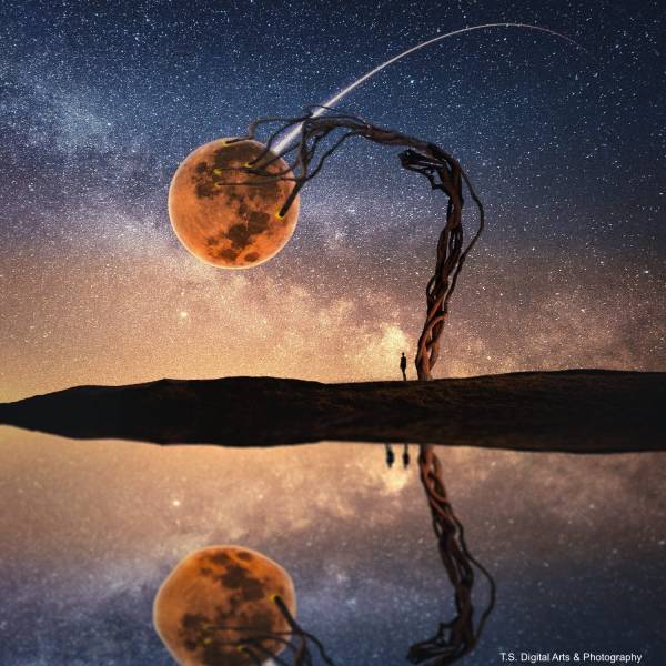 4d63e0cd-6215-4d96-939f-900637969eed