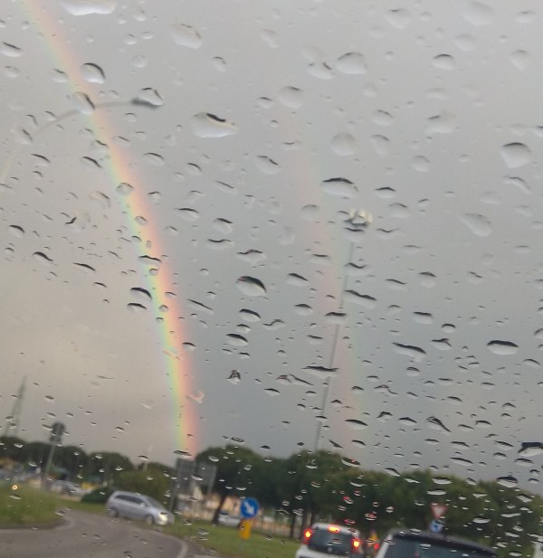 IMG_20190519_174411 (1)